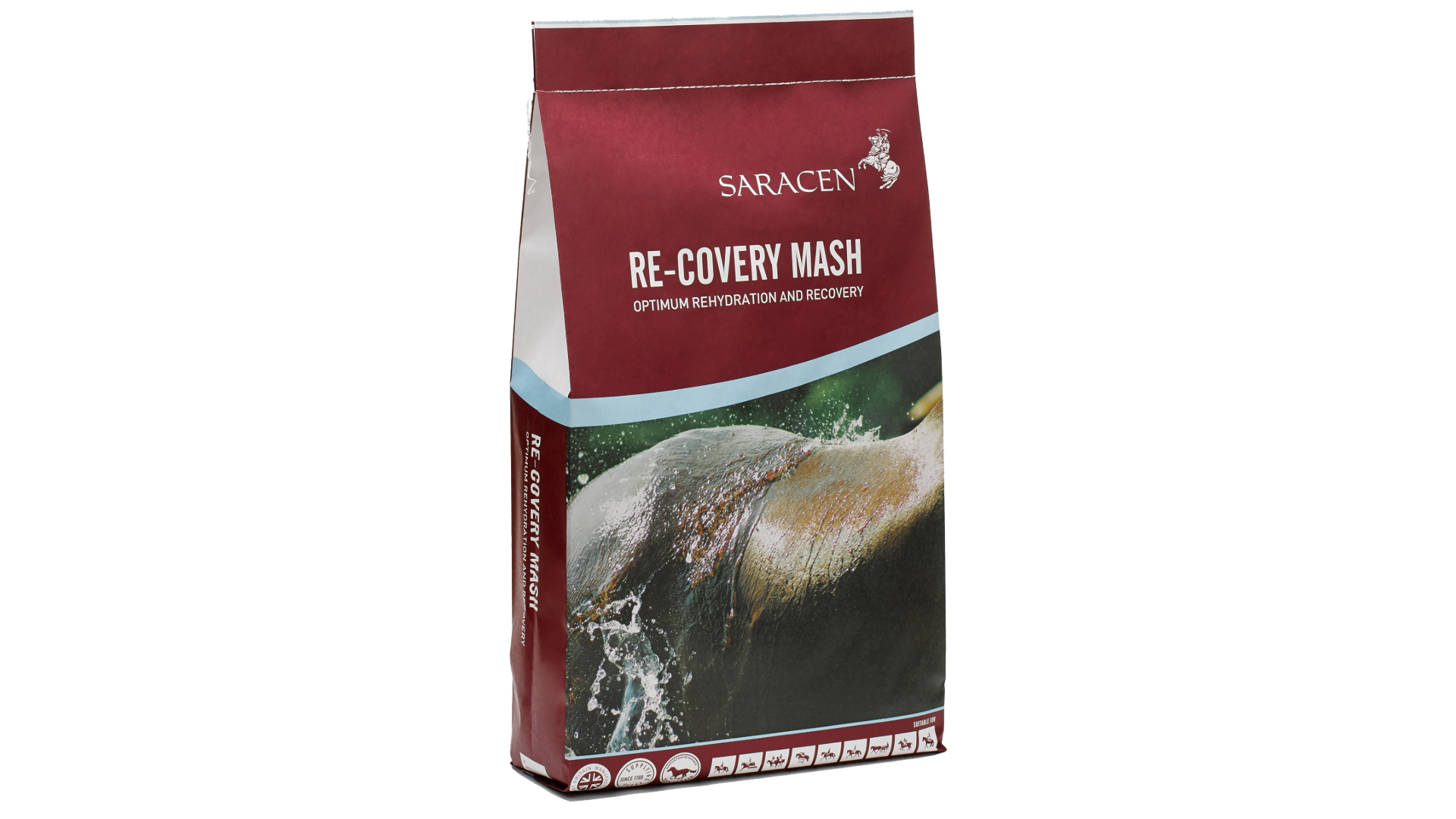 Saracen Re-Covery Mash