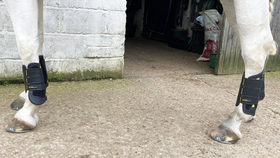 Lemieux xc boots review images