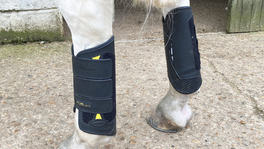 Lemieux xc boots review images