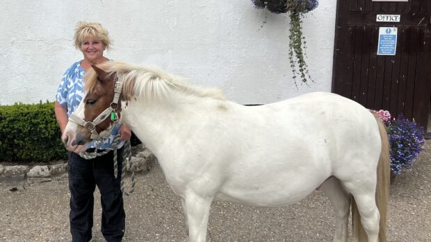 Grovely Riding Centre