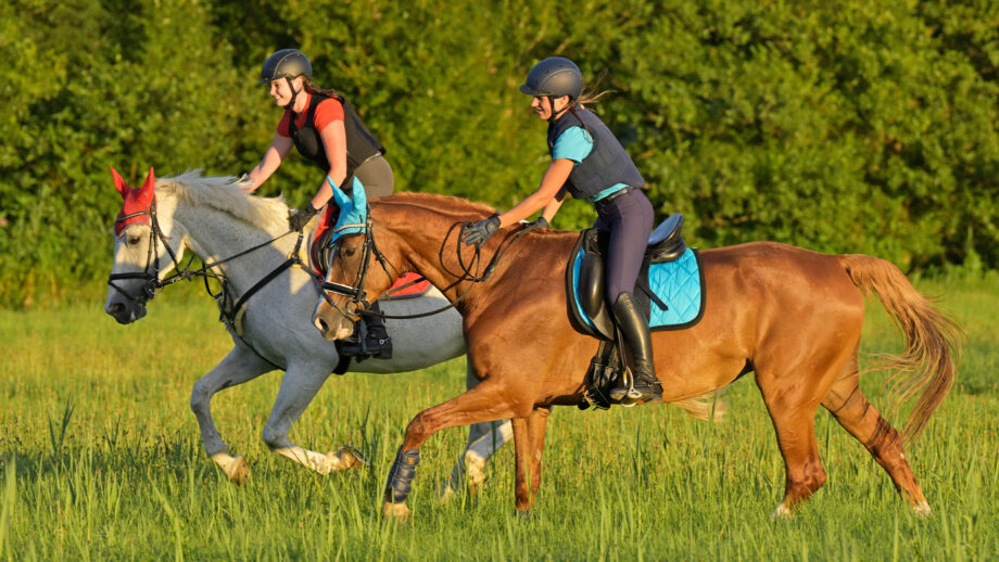 Two riders – one wearing a body protector and the other wearing a back protector – cantering in a field