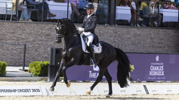 European Dressage Championships medals: Justin Verboomen and Zonik Plus take gold
