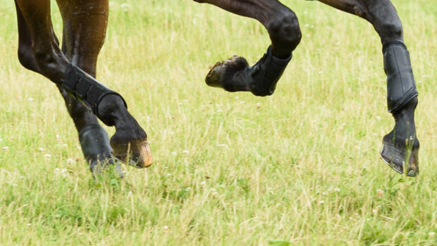 There was a fatal accident at Aston-le-Walls yesterday. Library image