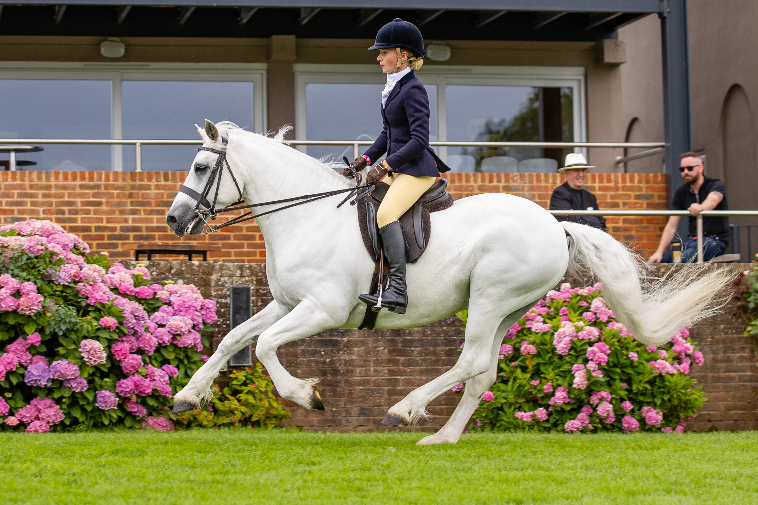 Harlow White and Bunowen Castle Ali give a gallop in the UK P&H championship at the 2025 Royal International 