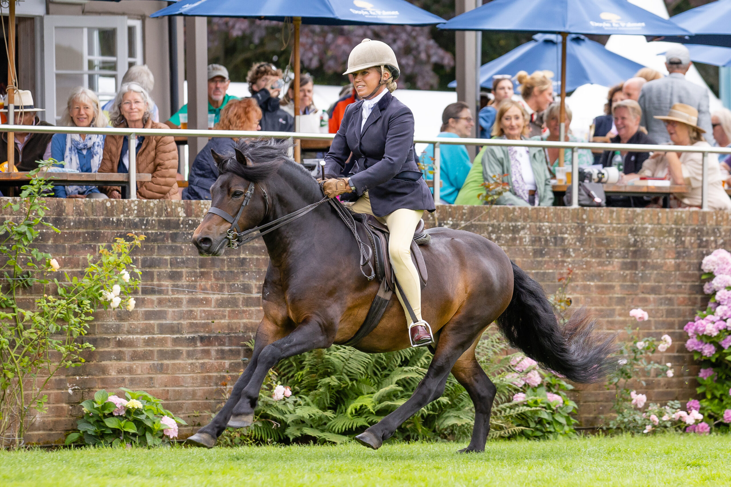 Katy Marriott Payne and Marchmanors Mr Beaujangles top the Dartmoor, Exmoor and Shetland class and enjoy a blast in the championship with a cracking gallop at the 2025 Royal International Horse Show 