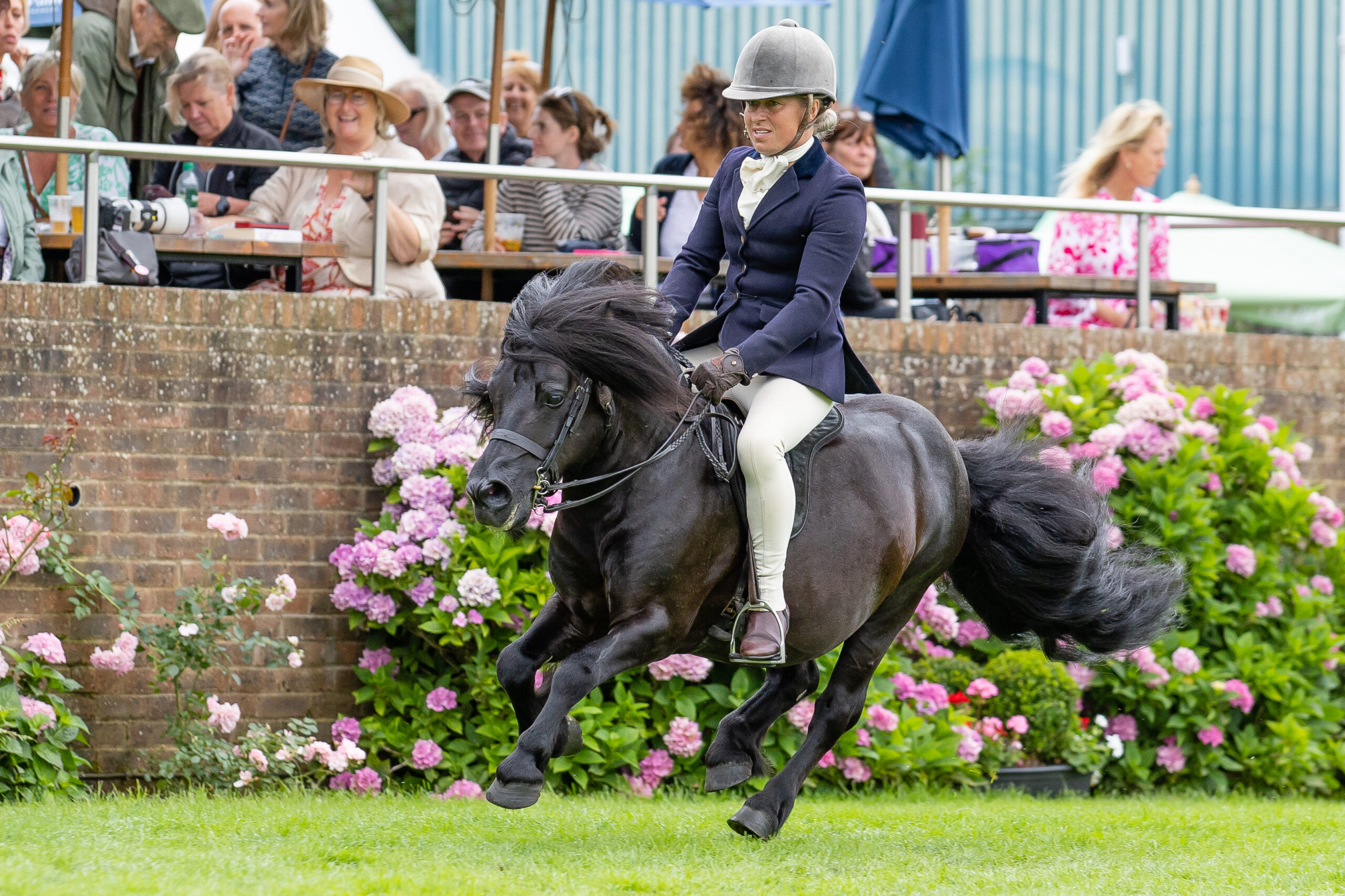 Sarah Parker and Shetland pony Wynkers Grifindor - second in their class - gallop in the main arena
