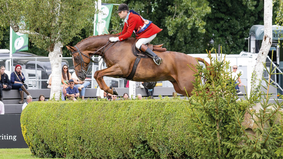 Craig Kiddier and Mulberry Lane clear a hedge in Hickstead's international arena while wearing their champion’s sash.