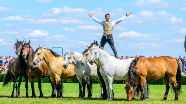 Ben Atkinson stood across the backs of two grey horses, with four others forming a line around them