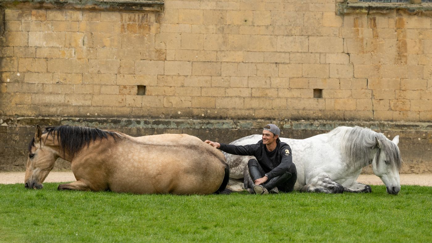 A dun and a grey horse lying down, Ben sits between them and pets the dun's back