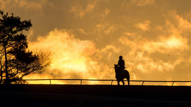 risk perception racing