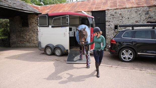 New horse being unloaded from horse trailer.