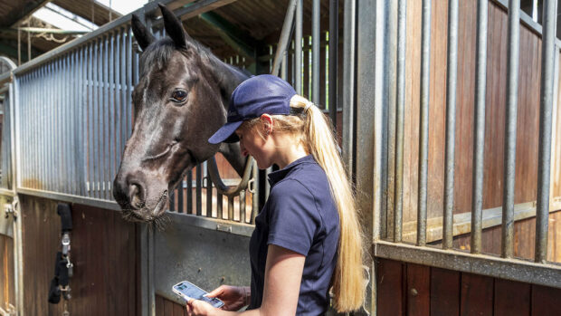 A young female wearing a navy cap and navy polo shirt looks at her phone in an indoor barn with a dark bay horse looking over the stable door in the background.