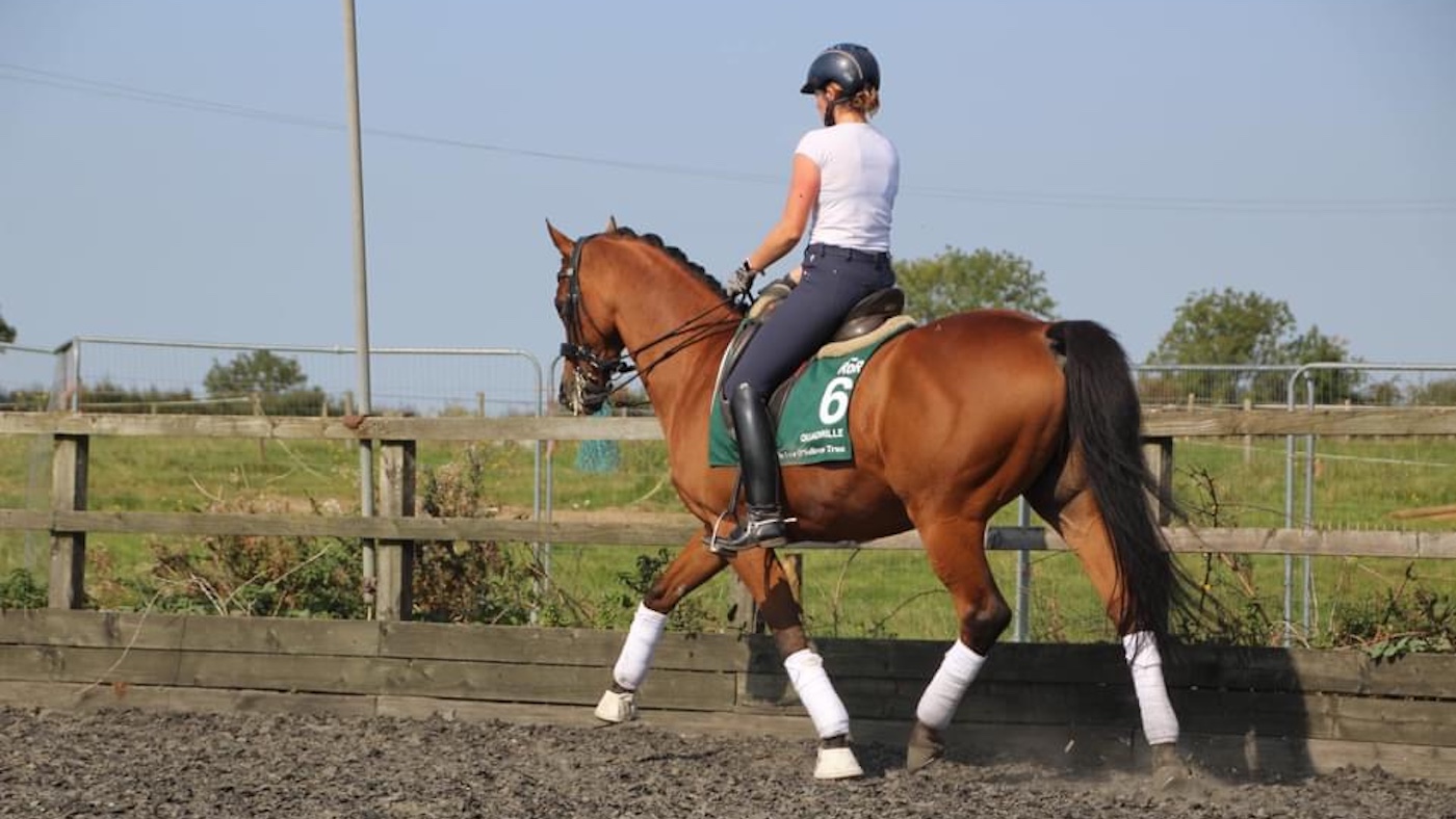 Louise robson who specialises in dressage training for thoroughbreds, riding Quadrille.
