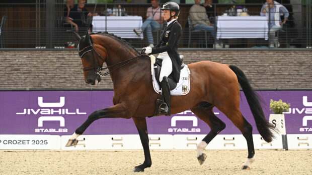Ingrid Klimke and Vayron NRW in action at the European Dressage Championships