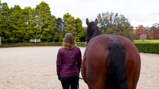 A woman stands beside a bay horse both looking away from the camera in a demonstration of mindfulness and being present
