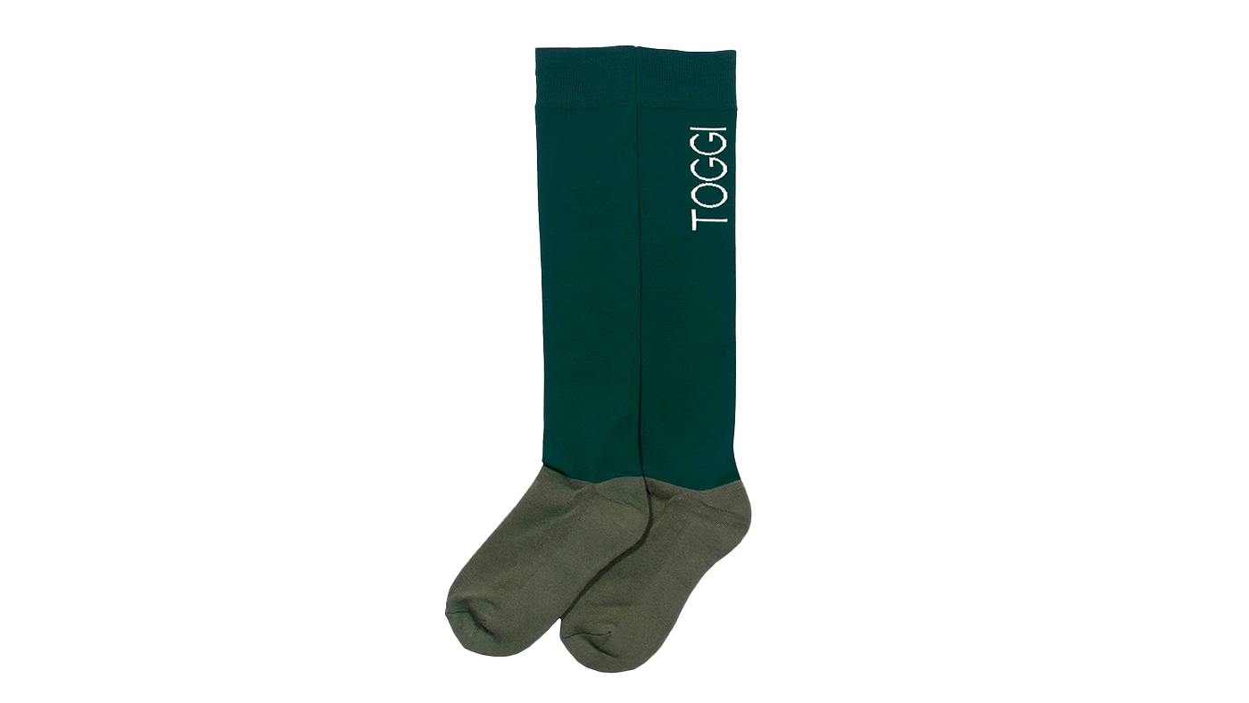Toggi Watts Socks