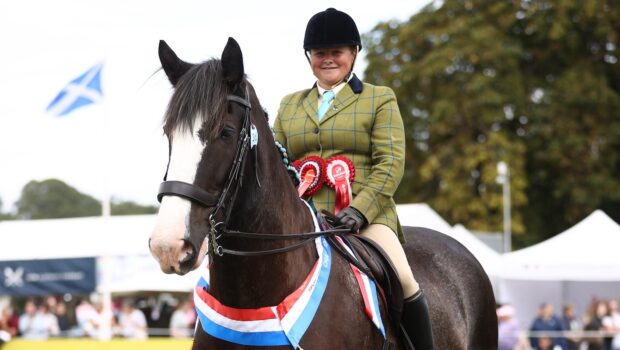 Yvonne Pringle and Mardoug's Highland Park are Scone Palace ridden Clydesdale final winners