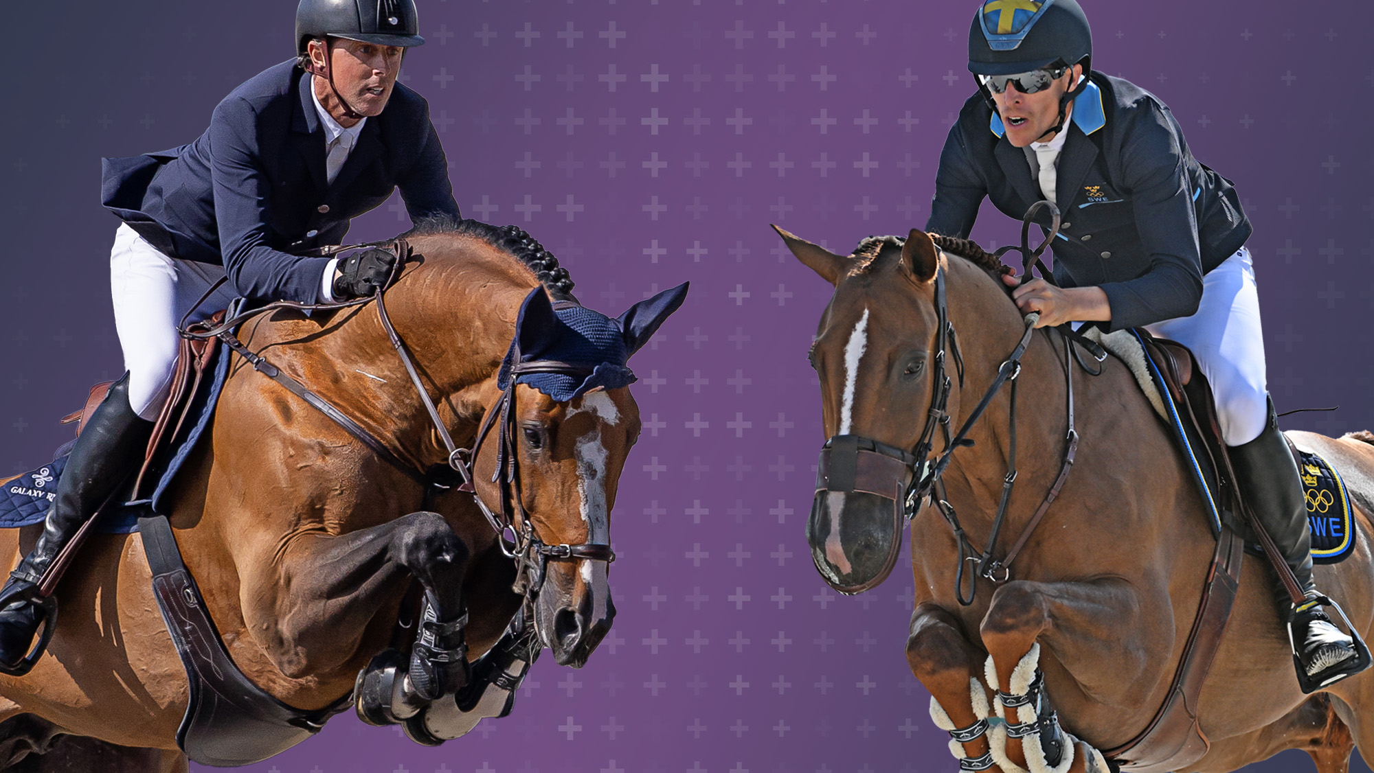 Point Break versus King Edward: who is the best showjumping horse in the world according to the data experts?