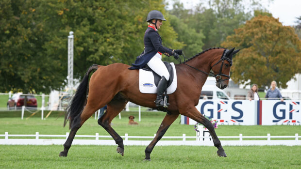Blenheim Horse Trials dressage: Gemma Stevens leads the young horse class after Thursday