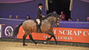 H&H’s showing editor Bethan Simons and her dun section D Ballynacoy Prince competing in the M&M championship at HOYS in 2017; she shares what you need to know if you are competing at HOYS for the first time.