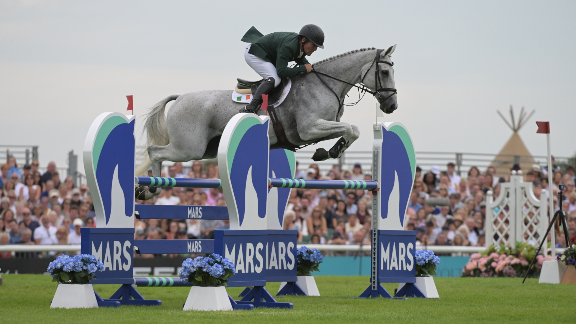 The Salty Syndicate - owners of Colorado Blue (pictured) received the Henry Tate Challenge Cup in the Burghley Horse Trials special prizes. 