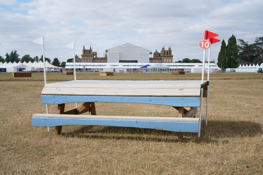 Blenheim Palace roof restoration