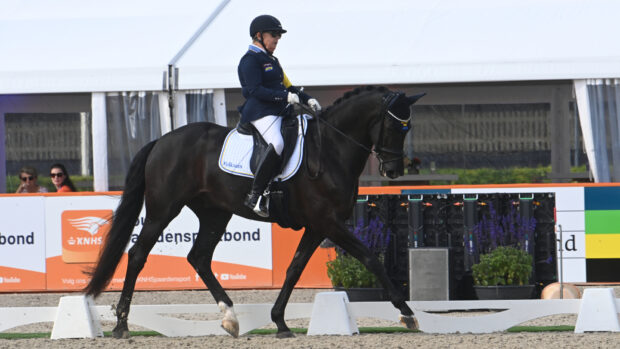 Pictured Swedish rider Louise Etzner Jakobsson and Goldstrike BJ at the Euopean Para Dressage Championships.
