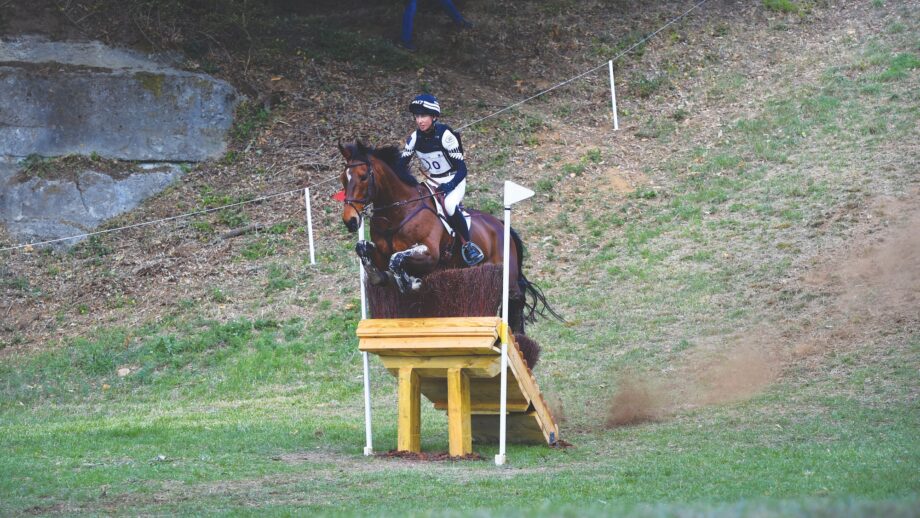 how to stop horse running out at skinnies on cross-country course as exemplified by a pro at the World Eventing Championships