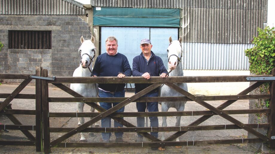 Heniarth Stud breeders Richard Miller and Meirion Davies