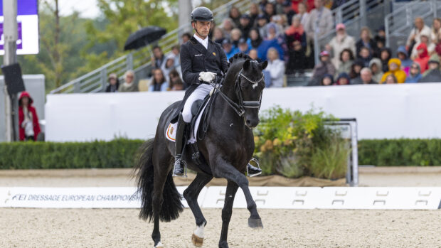 Justin Verboomen and stallion Zonik Plus at the European Championships 2025.