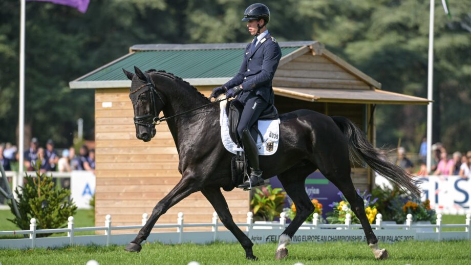 Blenheim European Championships dressage: Jérôme Robiné and Black Ice