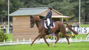 Turkish rider Kumru Say trots Baladin De L’Ocean La from right to left in front of the judge's box in the 2025 European Eventing Championships at Blenheim Palace.