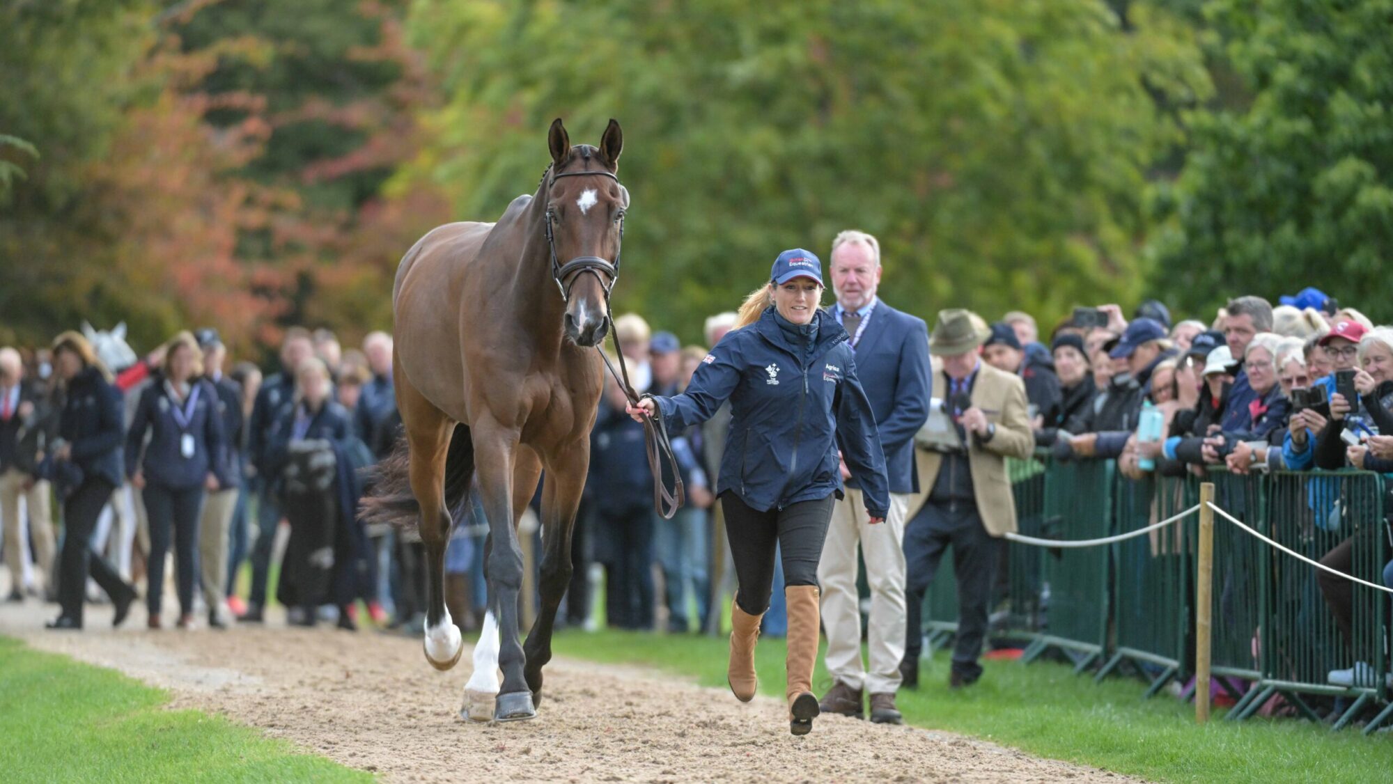 Blenheim European Championships final trot-up