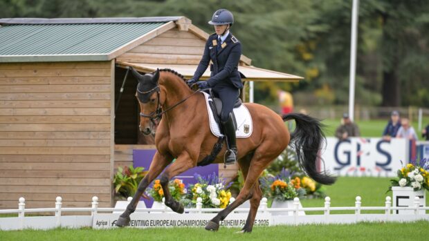 Blenheim European Championships dressage: Libussa Lübbeke and Caramia 34