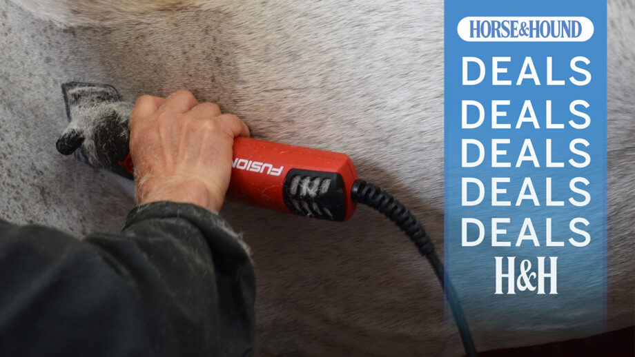 Lister Fusion horse clippers