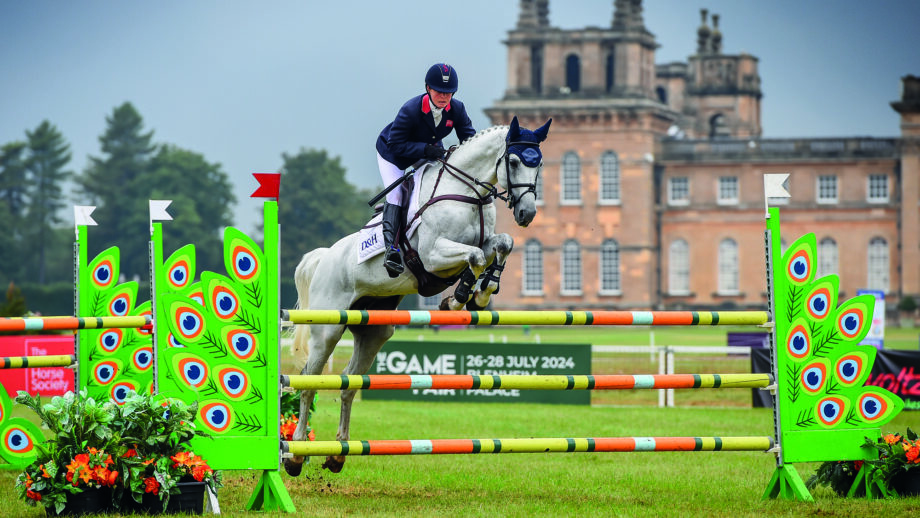 How to watch Blenheim European Championships live: Piggy March and Halo are on the British squad