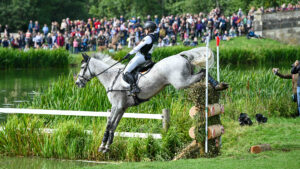 German rider Malin Hansen-Hotopp and her grey horse Carlitos Quidditch K clear a skinny brush into the water crossing at Blenheim European Championships.