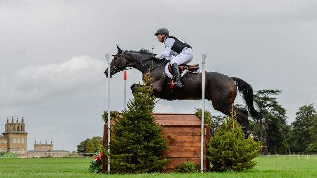Michael Jung clears a wooden chest with FischerChipmunk FRH on the cross-country course at 2025 European Eventing Championships with a wing of Blenheim Palace in background