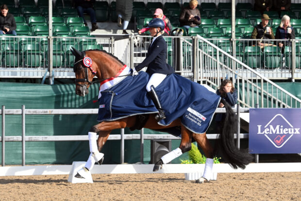 Sadie Smith and River Rise Pizzazz win the BETTALIFE novice gold title at the 2025 LeMieux National Dressage Championships.