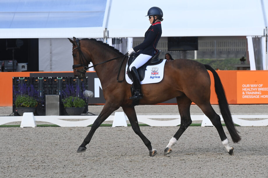 Pictured: Great Britain's Nicola Naylor has won individual bronze at the 2025 European Para Dressage Championships.