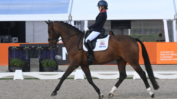 Pictured: Great Britain's Nicola Naylor has won individual bronze at the 2025 European Para Dressage Championships.