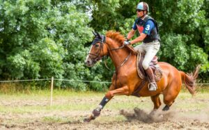 Horse spooking on cross-country course