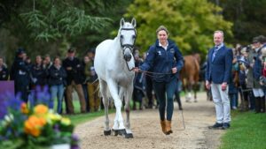 Hannah Chowen, groom to Piggy March, is responsible for making Halo look pearly white at the trot-up
