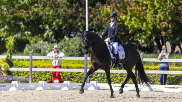 Regine Mispelkamp pictured at the European Para Dressage Championships.