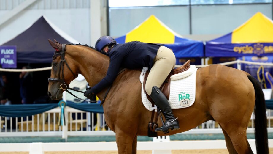 The BHA and ROR have signed a data sharing agreement