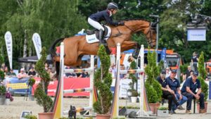 Bay horse jumping fence cleanly: how to stop a horse knocking down jumps
