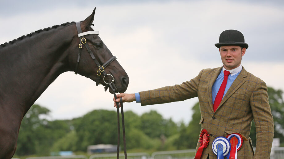 A man wearing a tweed jacket, red tie and bowler hat with rosettes on his belt, holds a dark bay horse.