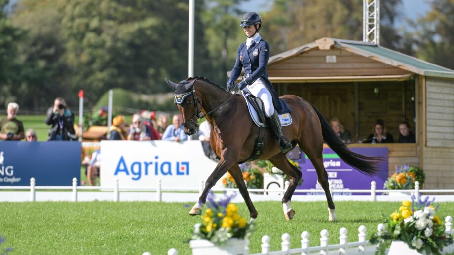 Blenheim European Championships withdrawal: Sofia Sjöborg and Govalent will not run across country
