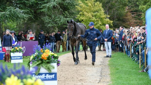 Blenheim European Championships dressage times: Tom McEwen starts at 11.59am on Friday