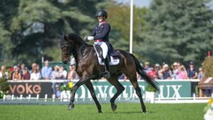 Blenheim European Championships dressage: Tom McEwen and JL Dublin
